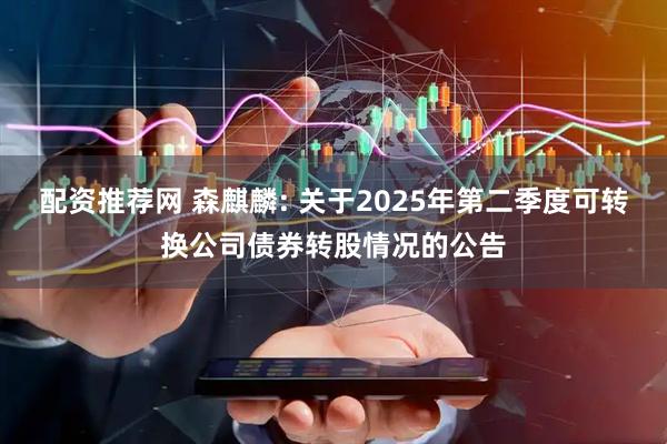 配资推荐网 森麒麟: 关于2025年第二季度可转换公司债券转股情况的公告