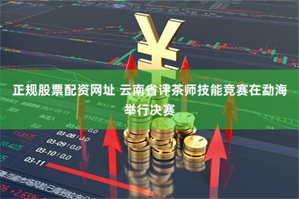 正规股票配资网址 云南省评茶师技能竞赛在勐海举行决赛